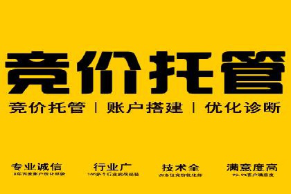 成功案例：竞价SEM托管助力企业拓展市场